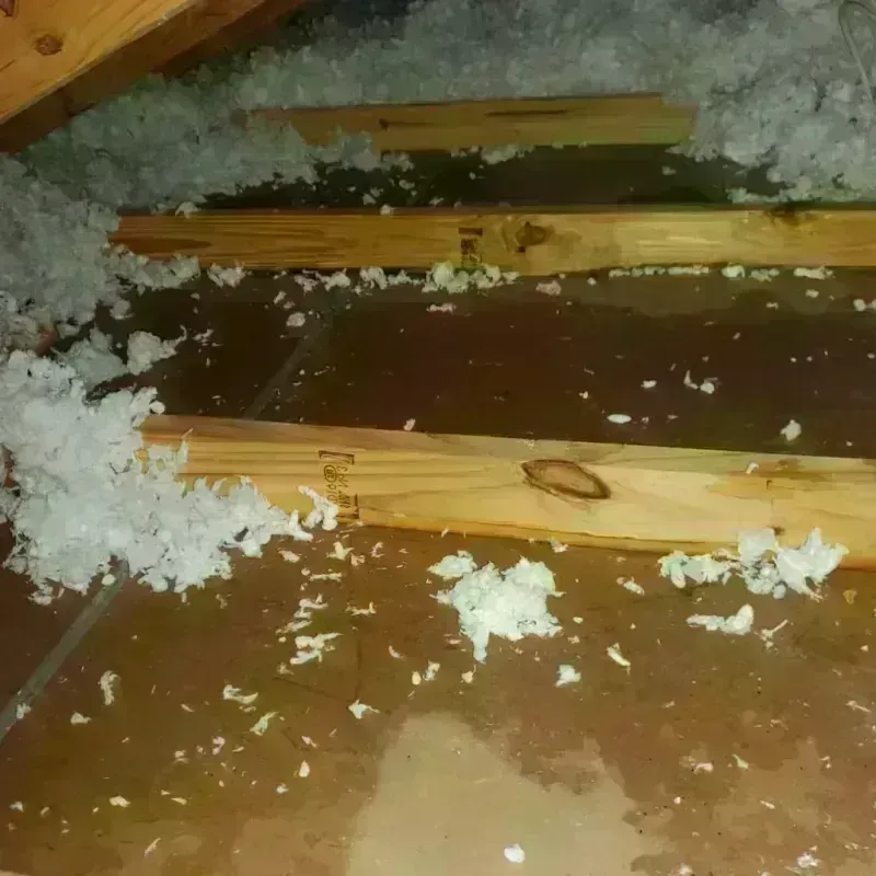 Attic Water Damage in Glendale, OH