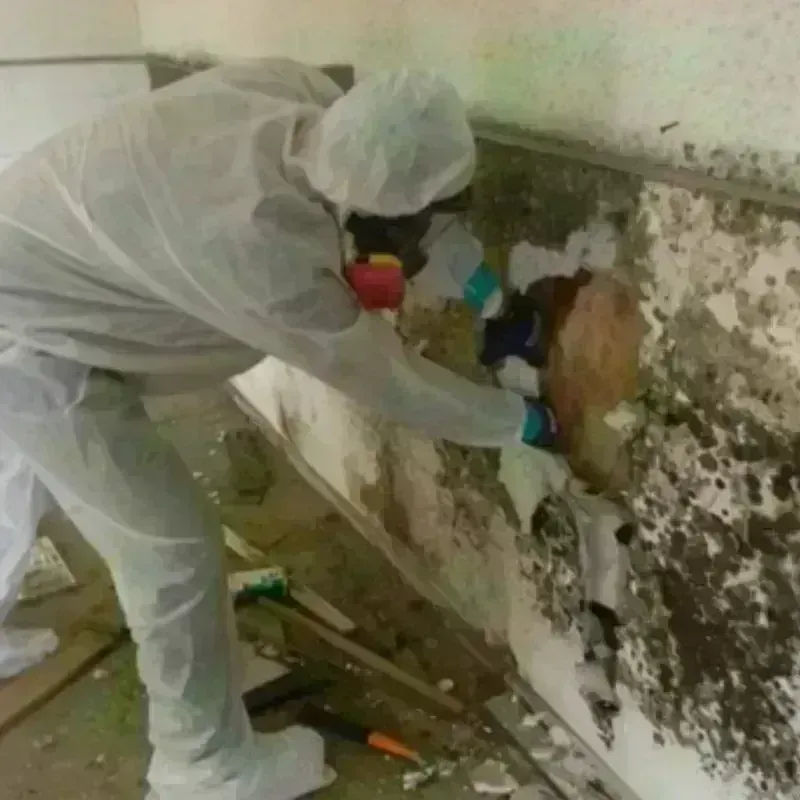 Mold Remediation and Removal in Glendale, OH