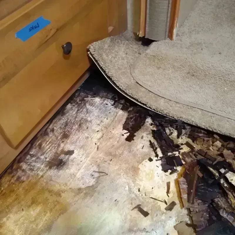 Wood Floor Water Damage in Glendale, OH